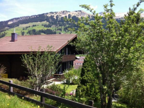 Apartment Chriba by Interhome Lenk
